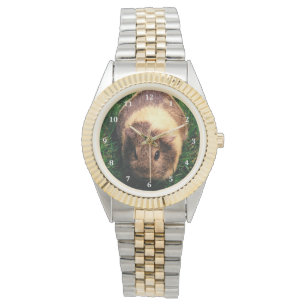 Reloj De Pulsera Conejillo de Indias del Agouti en la hierba