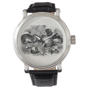 Reloj De Pulsera Conejillos de Indias viejos retros del conejillo