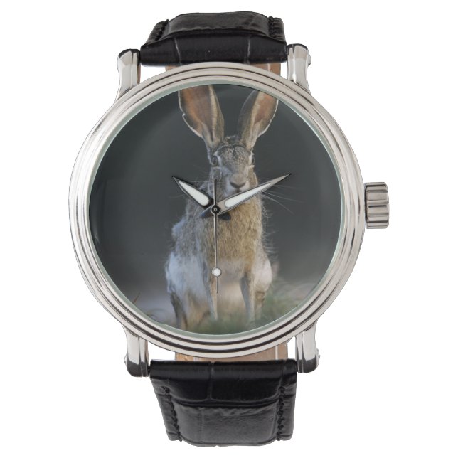 Reloj De Pulsera Conejo de cola negra, Lepus californicus, 2 (Anverso)
