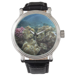 Reloj De Pulsera Coral, arrecife de Agincourt, Gran Barrera de Cora