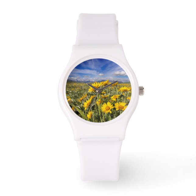 Reloj De Pulsera Cordillera de Montaña Rocosa (Anverso)