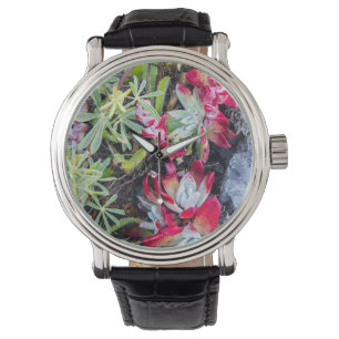 Reloj De Pulsera Costa Dudleya En El Mar Nacional De Point Reyes