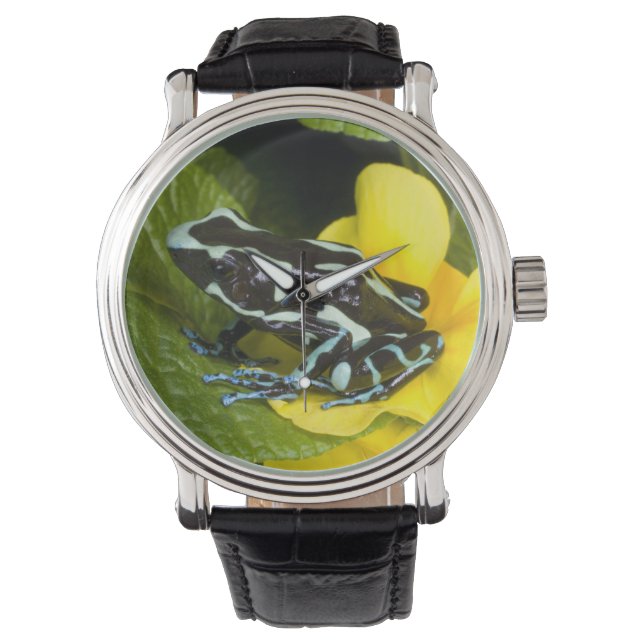 Reloj De Pulsera Costa Rica, Península de Osa (Anverso)