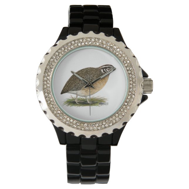 Reloj De Pulsera Coturnix Pharaoh Quail (Anverso)