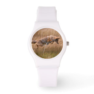 Reloj De Pulsera Coyote que salta - prados del Gibbon