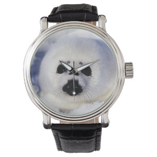 Reloj De Pulsera Cría de foca arpa hielo Golfo de San Lorenzo,