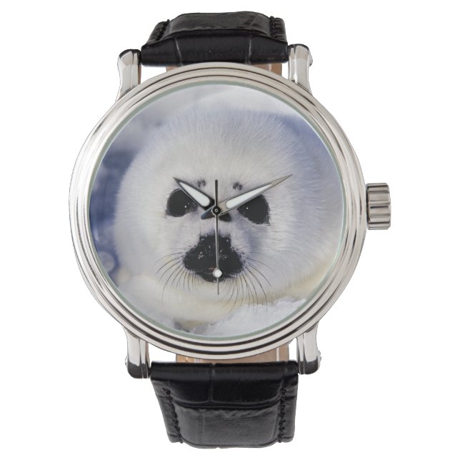 Reloj De Pulsera Cría de foca arpa hielo Golfo de San Lorenzo, (Anverso)