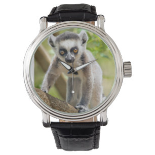 Reloj De Pulsera Cría de lémur de cola anillada