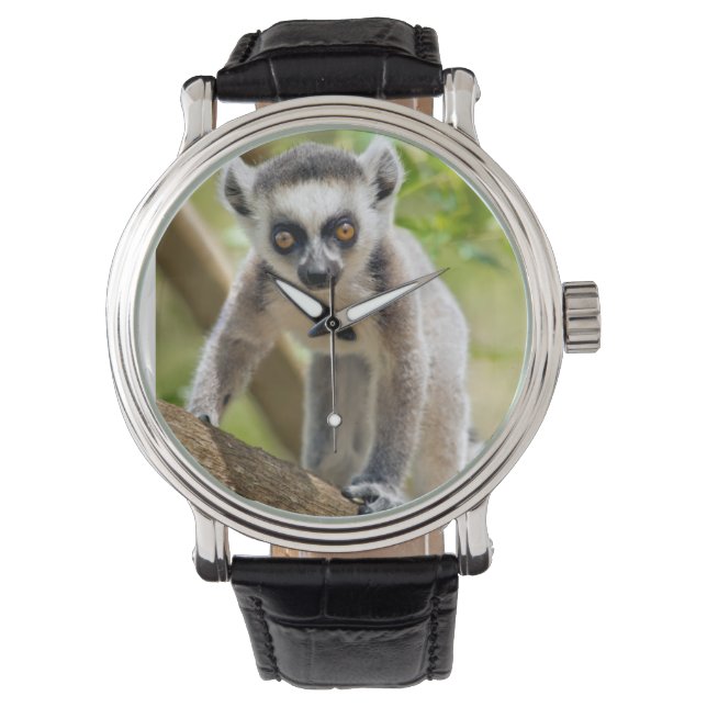Reloj De Pulsera Cría de lémur de cola anillada (Anverso)