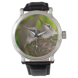 Reloj De Pulsera Crías de colibríes