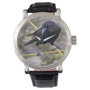 Reloj De Pulsera Crow en la encrucijada