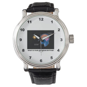 Reloj De Pulsera ¿Cuál es su ritmo circadiano?