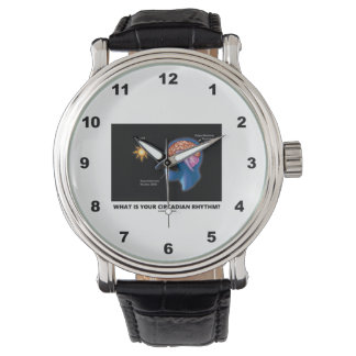 Reloj De Pulsera ¿Cuál Es Tu Ritmo Circadiano?