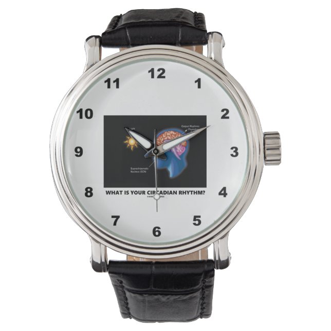 Reloj De Pulsera ¿Cuál Es Tu Ritmo Circadiano? (Anverso)