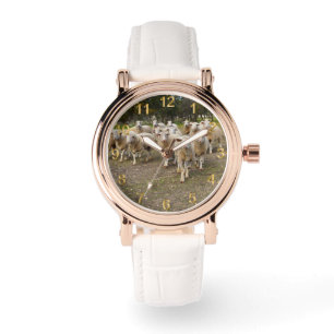 Reloj De Pulsera Cuando La Oveja Llega A Marchar A Casa,
