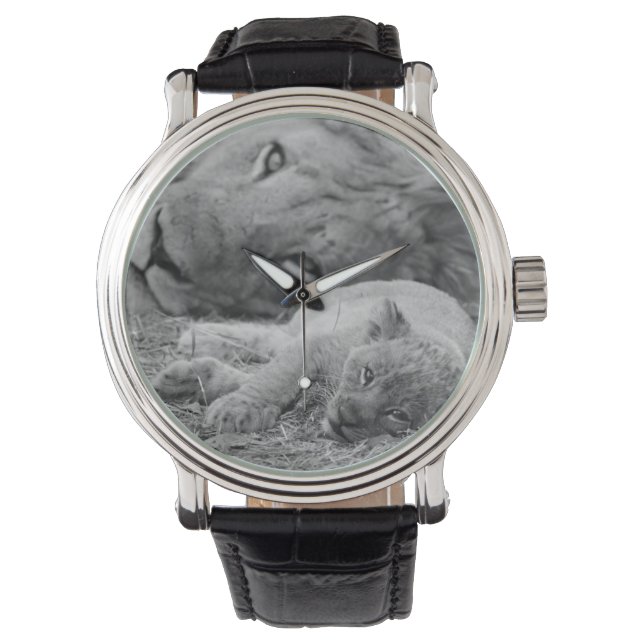 Reloj De Pulsera Cubo de león lindo descansando con padre (Anverso)