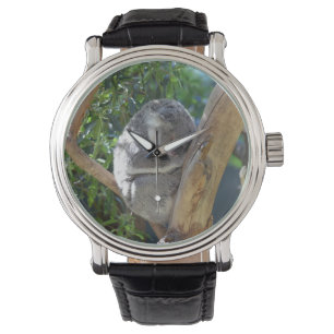 Reloj De Pulsera Cuidada durmiendo a Koala en el árbol