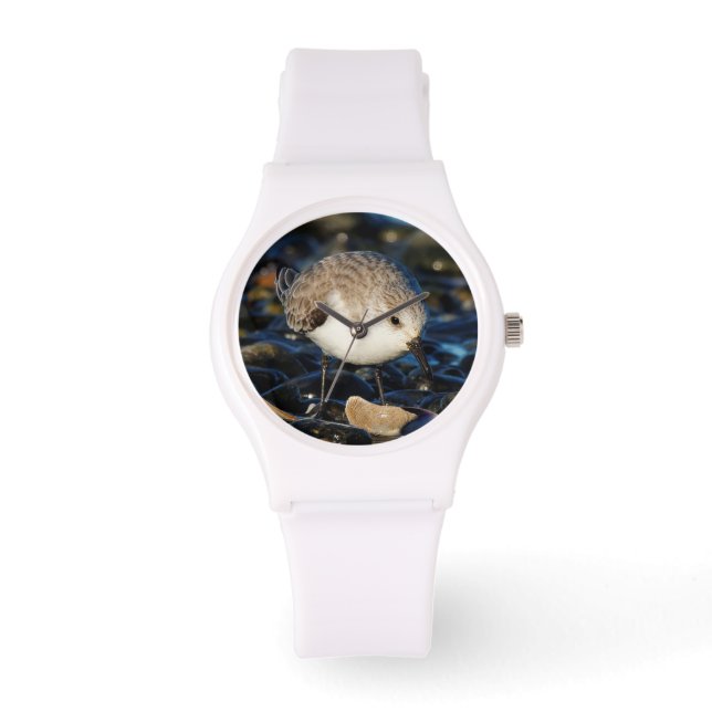 Reloj De Pulsera Cuidada sanderling Sandpiper Shorebird come a clam (Anverso)