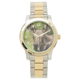Reloj De Pulsera Curioso Moose