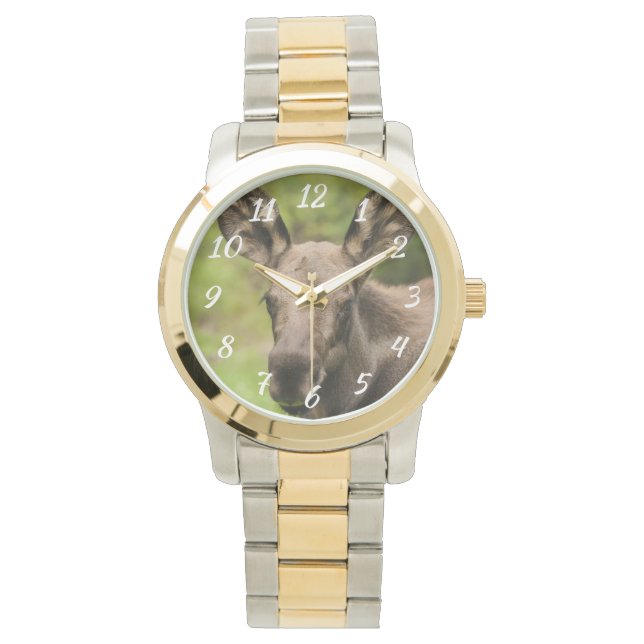 Reloj De Pulsera Curioso Moose (Anverso)