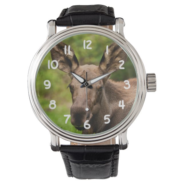 Reloj De Pulsera Curioso Moose (Anverso)