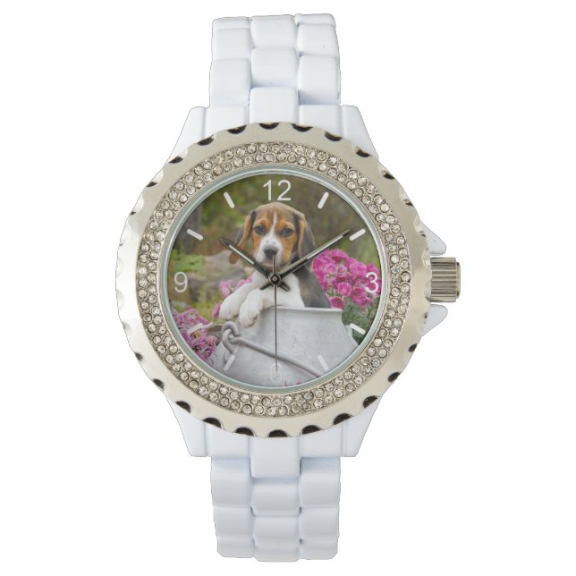 Reloj De Pulsera Cute Beagle Dog Puppy Leche Churn mujeres placa di (Anverso)