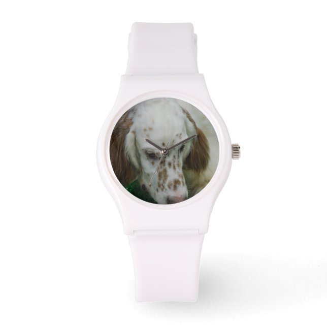 Reloj De Pulsera Cute English Setter (Anverso)
