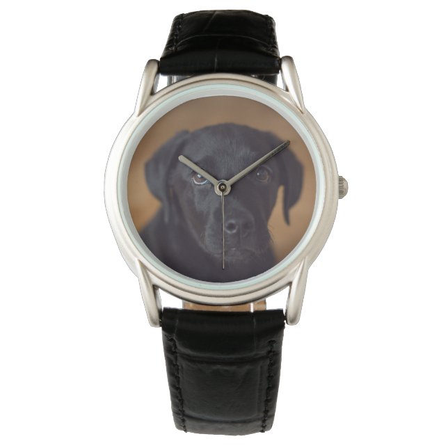 Reloj De Pulsera Cutest Baby Animals | Black Labrador Puppy (Anverso)