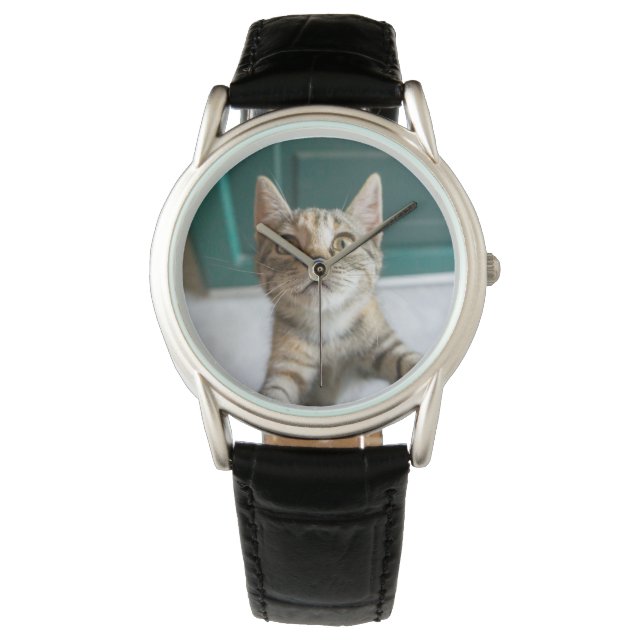 Reloj De Pulsera Cutest Baby Animals | Cute Tabby Kitten (Anverso)