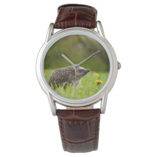 Reloj De Pulsera Cutest Baby Animals European Hedgehog