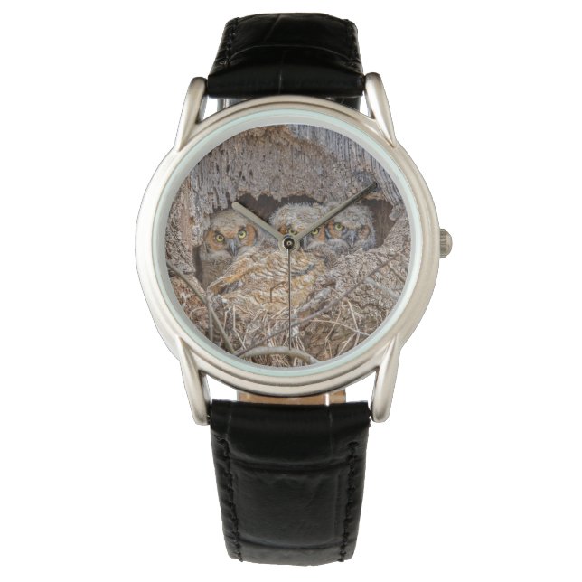 Reloj De Pulsera Cutest Baby Animals | Great Horned Chicks (Anverso)