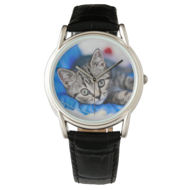 Reloj De Pulsera Cutest Baby Animals | Tabby Kitten in Play Tunnel (Anverso)