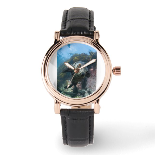 Reloj De Pulsera Cutest Baby Animals | Underwater Cape Fur Seal (Anverso)