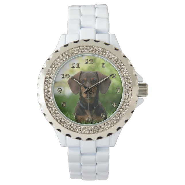Reloj De Pulsera Dachshund Puppy (Anverso)
