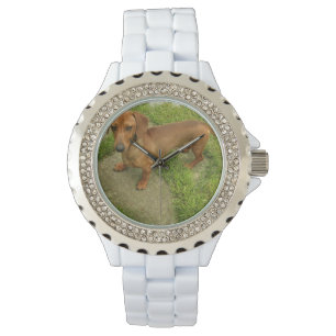 Reloj De Pulsera Daschund