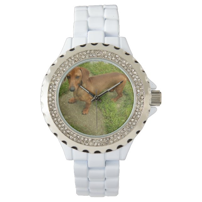 Reloj De Pulsera Daschund (Anverso)
