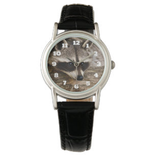 Reloj De Pulsera Descanso de mapache en un registro