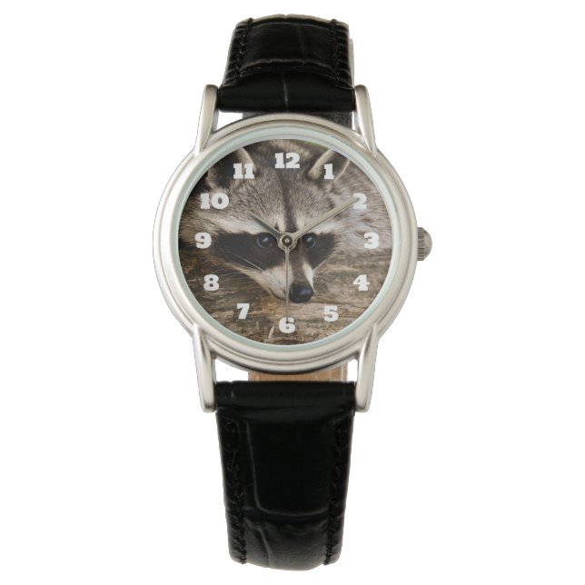 Reloj De Pulsera Descanso de mapache en un registro (Anverso)