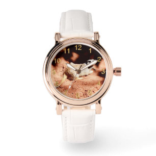 Reloj De Pulsera Descubrimientos polvorientos: Meerkat con suciedad