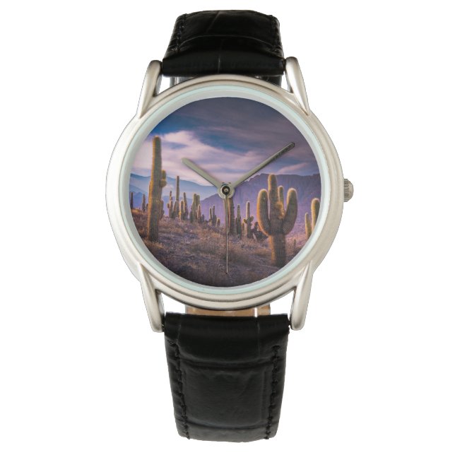Reloj De Pulsera Deserts | Cactus Landscape Argentina (Anverso)
