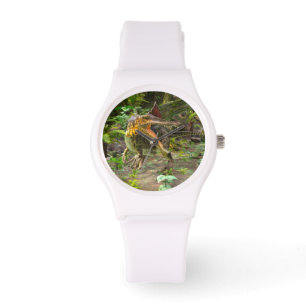 Reloj De Pulsera Dinosaurio Spinosaurus