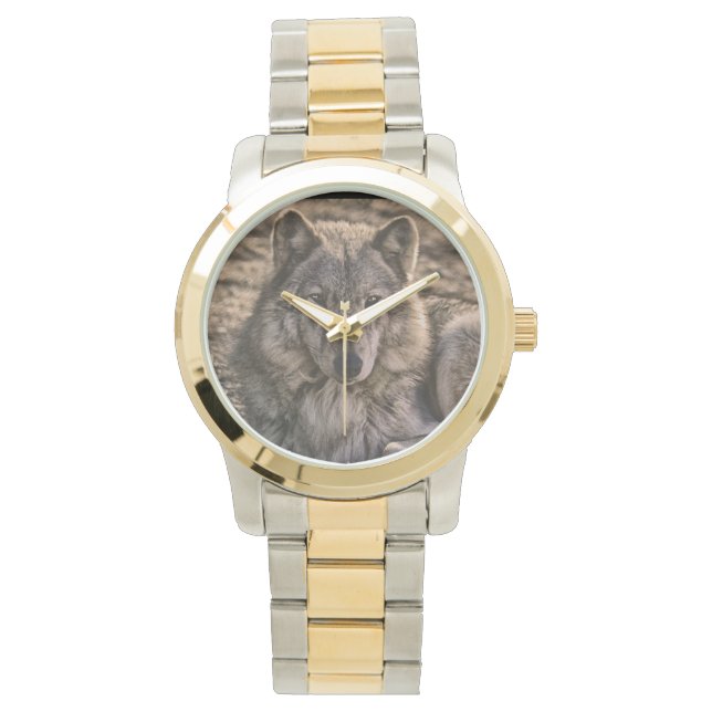 Reloj De Pulsera Diseño de vida silvestre Gray Wolf (Anverso)