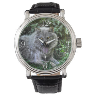 Reloj De Pulsera Diseño de vida silvestre Lobo Blanco