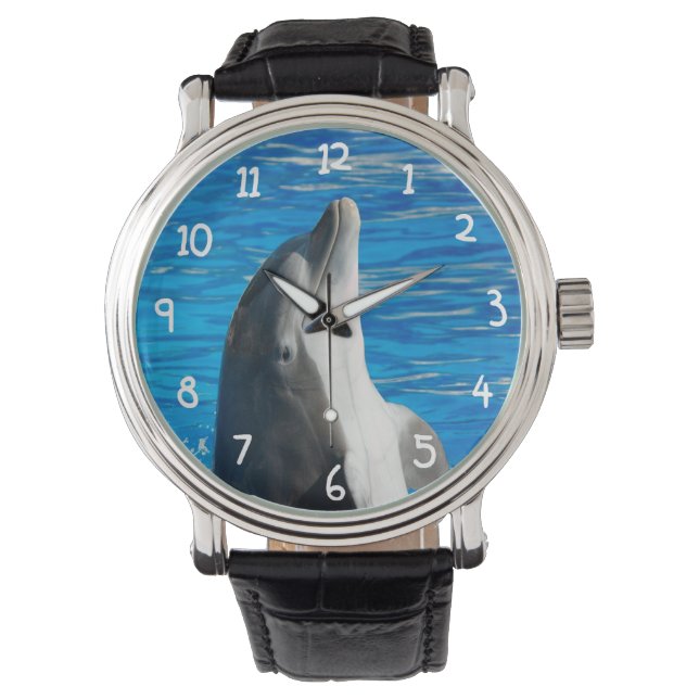 Reloj De Pulsera Dolphin Bottlenose (Anverso)