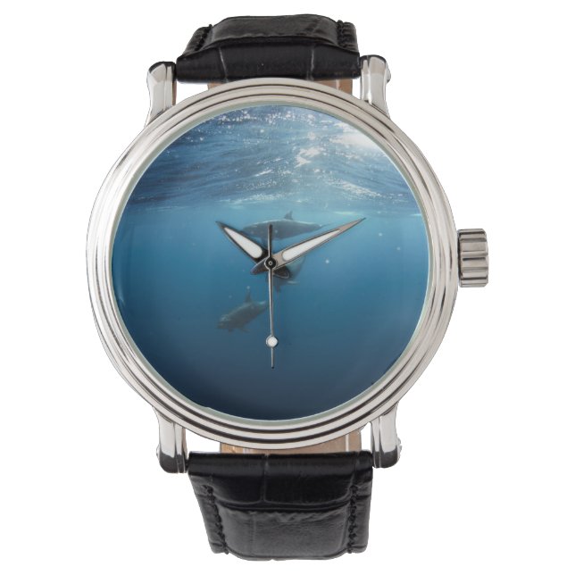 Reloj De Pulsera Dolphin Family Underwater (Anverso)