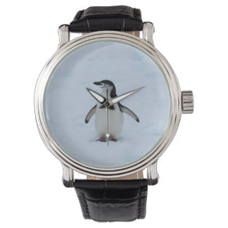 Reloj De Pulsera ¿Dónde estoy?