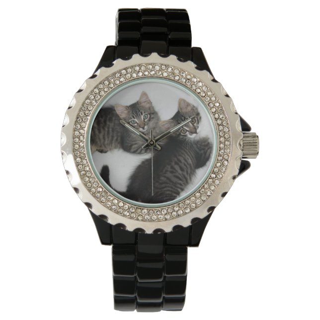 Reloj De Pulsera Dos gatitos rescatados Watch (Anverso)