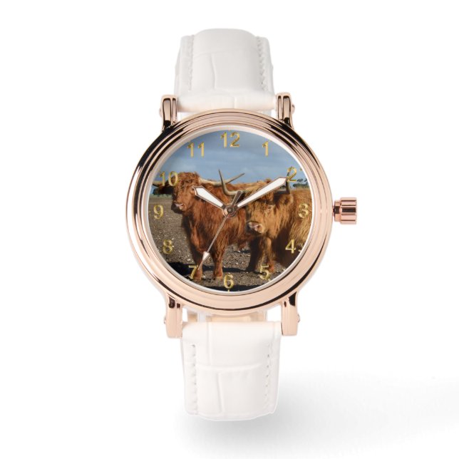 Reloj De Pulsera Dos grandes vacas Highland, (Anverso)