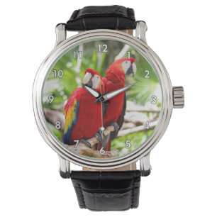 Reloj De Pulsera Dos loros de colores en una rama de árbol