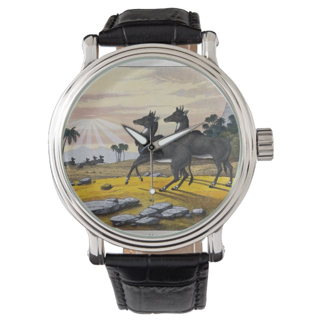 Reloj De Pulsera Dos Nilgai en un paisaje montañoso (Anverso)